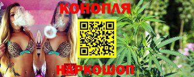 гидра Нальчик