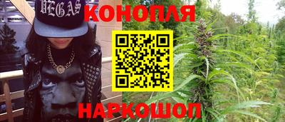 гидра Нальчик