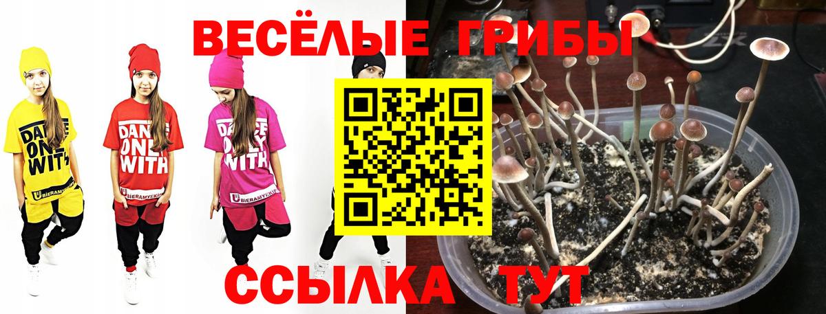 Псилоцибиновые грибы мухоморы  Галлюциногенные грибы MAGIC MUSHROOMS  Вход с VPN  Углич 